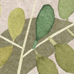Foggy Shrub