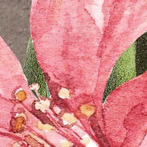 Large Bloomed