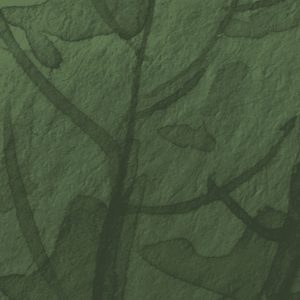 Botanic Harmony