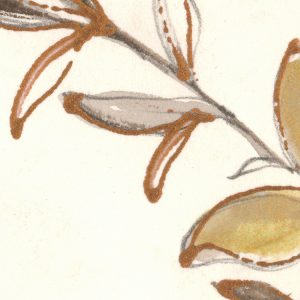 Vintage Chrysanthemum
