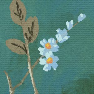 Birdsong Breeze