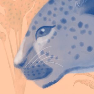 Safari Pattern