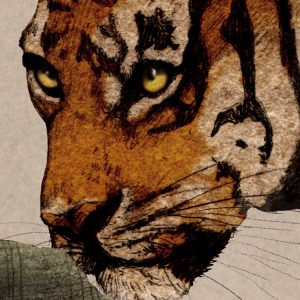Tiger Jungle