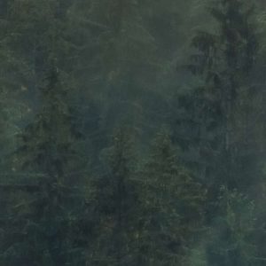 Tales of the Carpathians