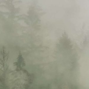 Tales of the Carpathians