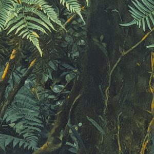 Jungle Lands