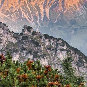 Alps