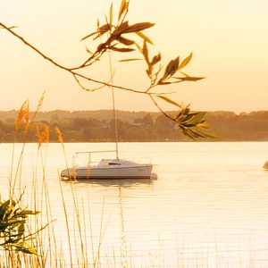 Lakeside