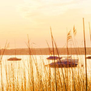 Lakeside