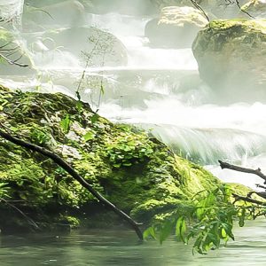 Tranquil Pool
