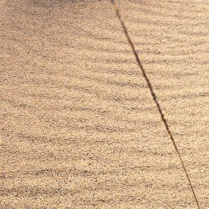 Vivid Dunes