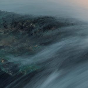 Cry of the Sea