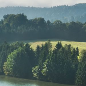 Bergwiese vor Karwendel