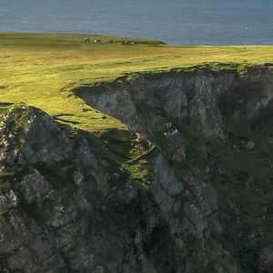 Green Ireland