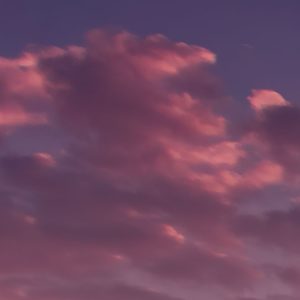 Lavender Dream