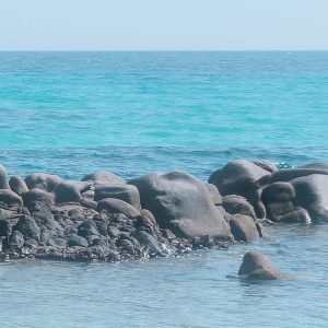 Mediterrane Träume