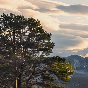 Norwegische Herbstwelten