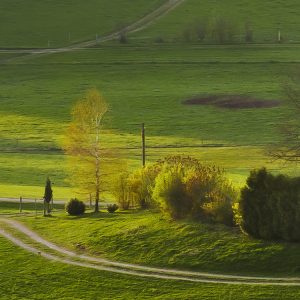 Paradiesisches Bayern
