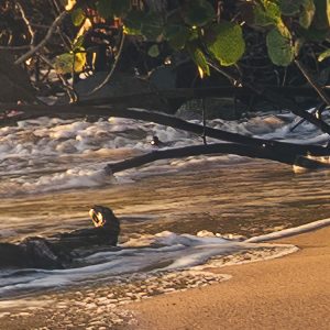 Strandgeheimnis