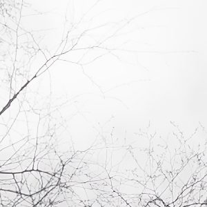 Weiss-Blau