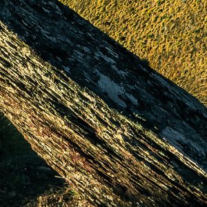 Green Ridges