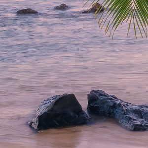 Hawaiian Dreams