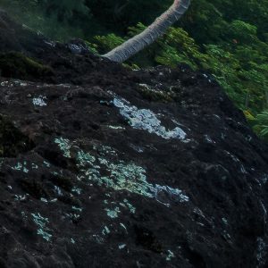 Jurassic Island