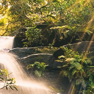 Golden Falls