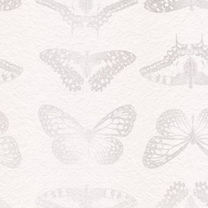 Mur de Papillons