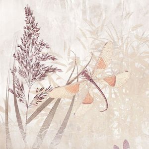 Dragonfly Pond