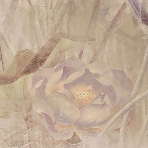 Dragonfly Pond