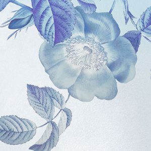 Blue Aura