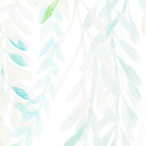 Summer Leaves