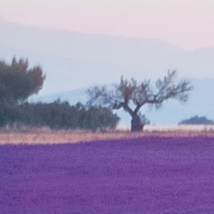 Provence