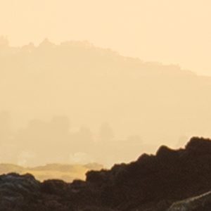 Golden Gate