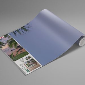 Hawaiian Dreams