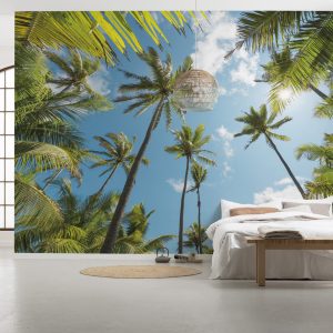 Coconut Heaven