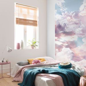 Clouds