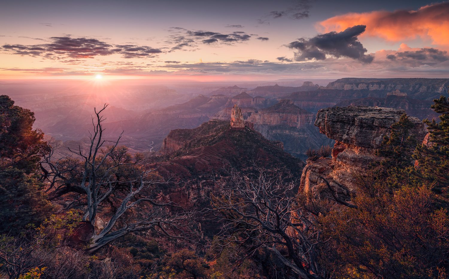 Grand View