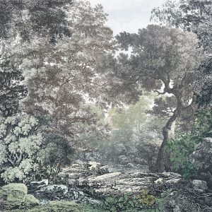 Fairytale Forest