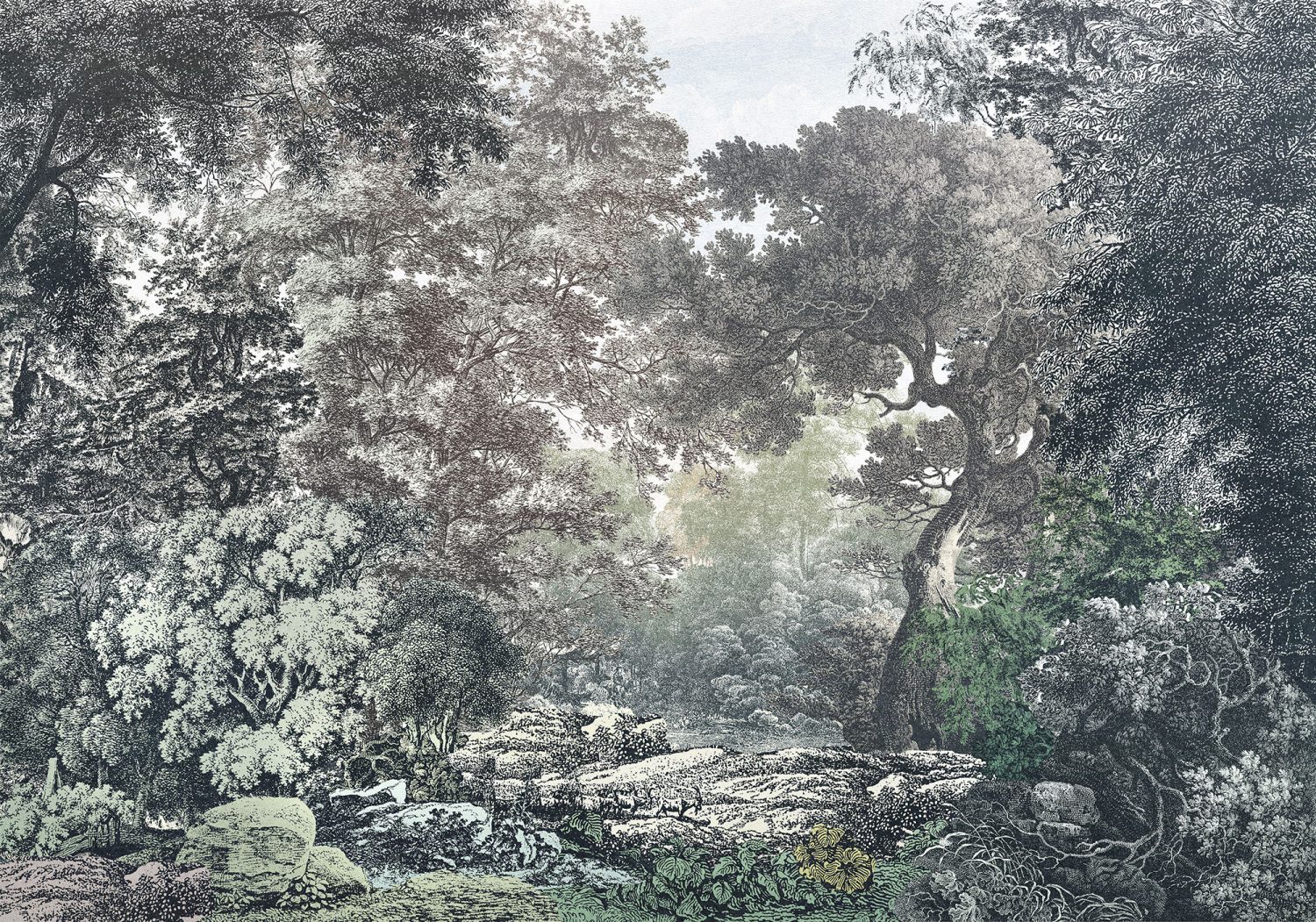 Fairytale Forest