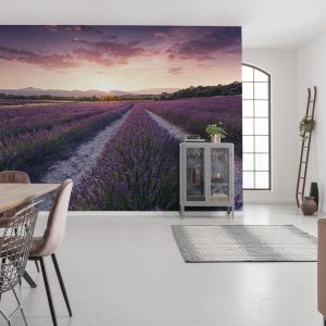 Lavender Dream