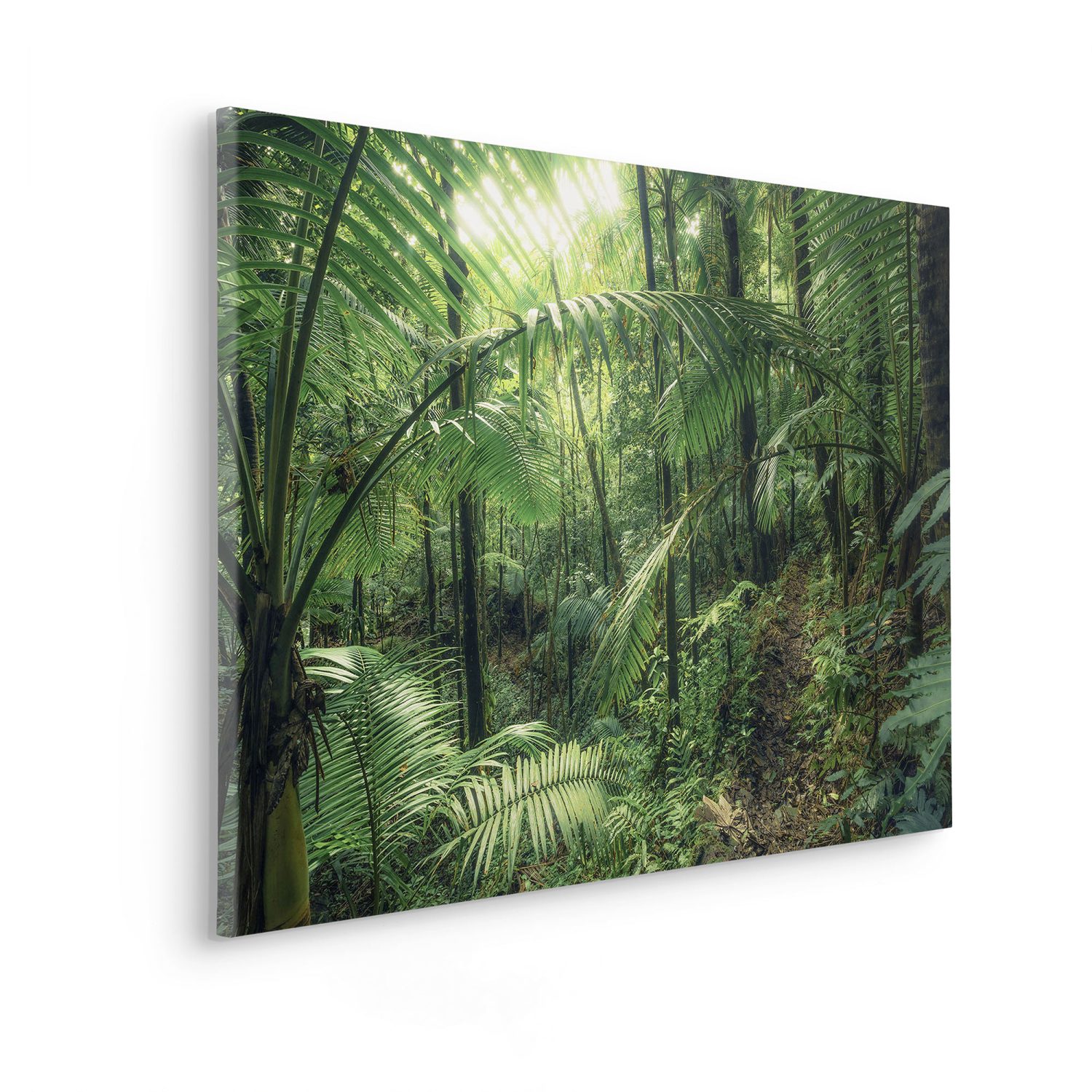 Jungleflair