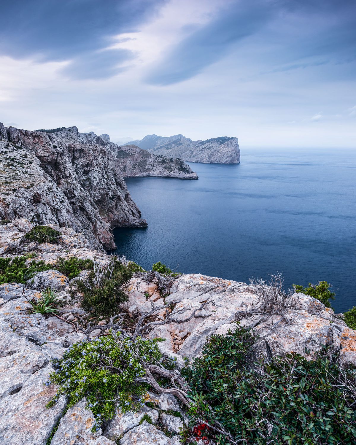 Bizarre Coast