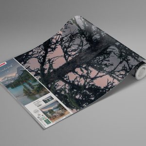 Spirit Island