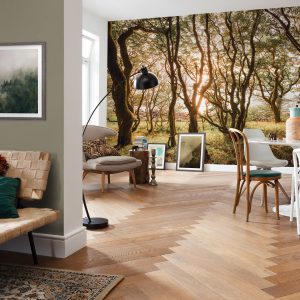Bold Birch