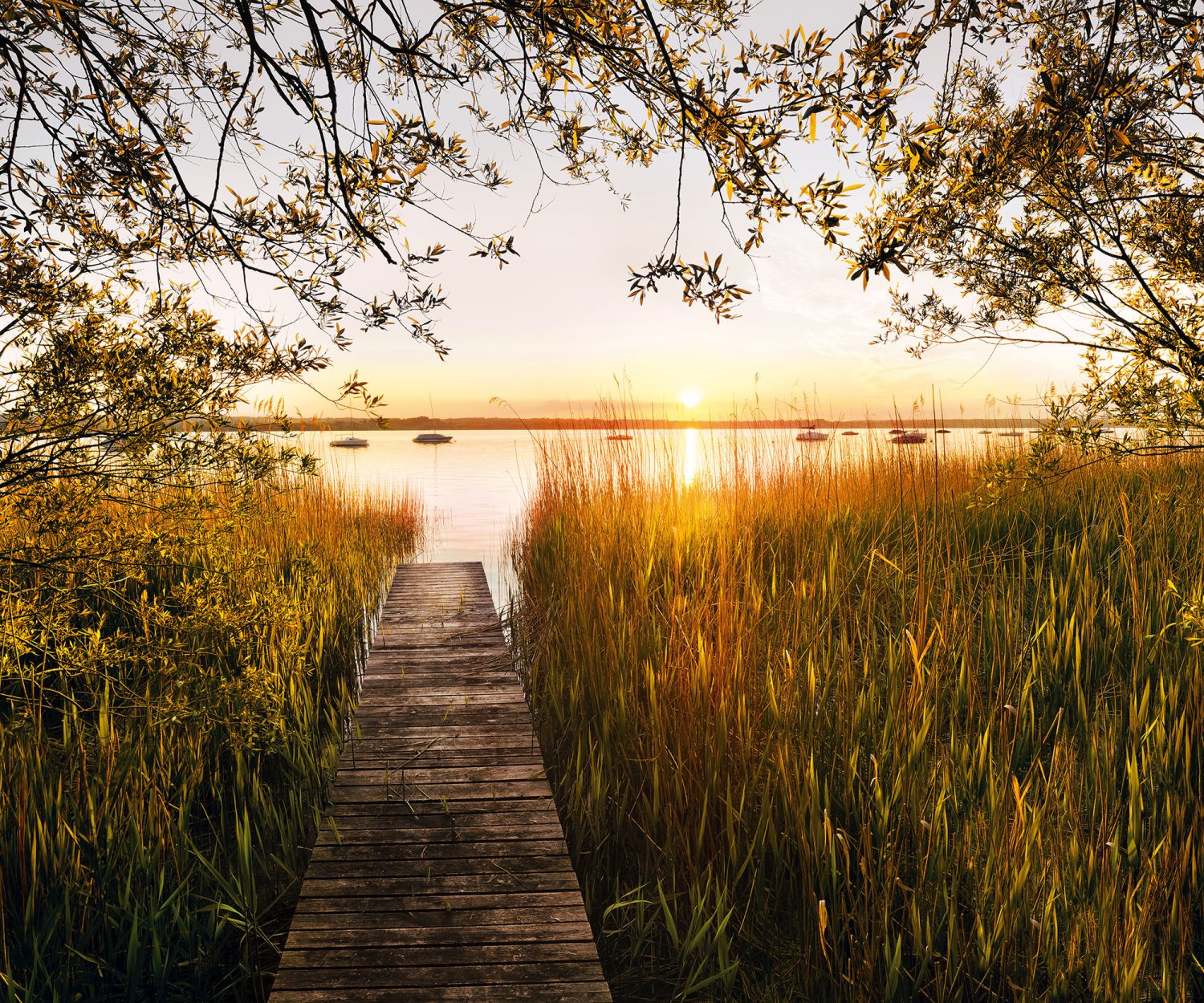 Lakeside