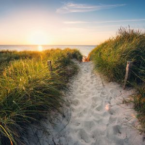 Way to the Beach
