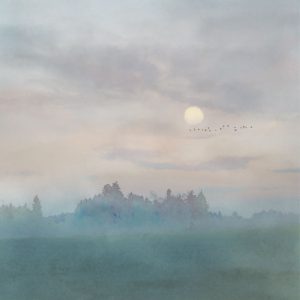 Hazy Hush
