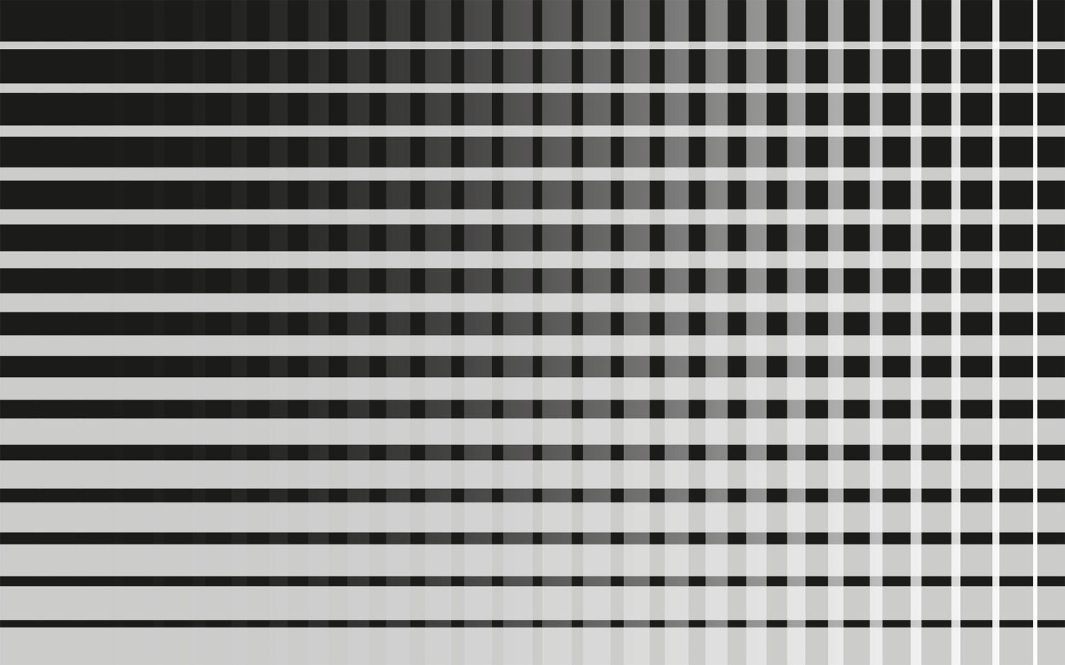 Griddy greyblack-grey